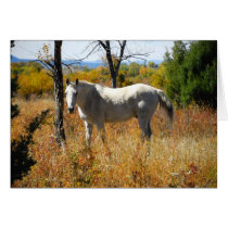 WhiteHorse card