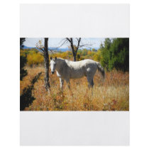 WhiteHorse flyer