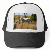 WhiteHorse hat