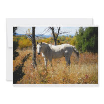 WhiteHorse invitation