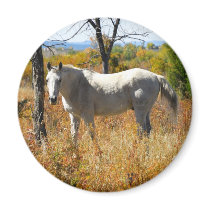 WhiteHorse magnet