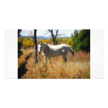 WhiteHorse photo card