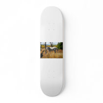 WhiteHorse skateboard
