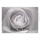 Whiteness, Save the Date Card