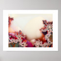 whites and pastels egg poster posters
