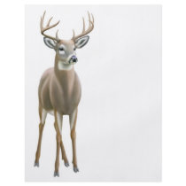 Whitetail Buck Flyer