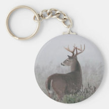 Whitetail Buck in morning fog Keychain