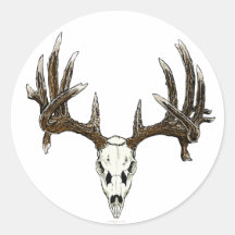 Whitetail buck skull round stickers