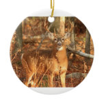 Whitetail Deer Buck Ornaments
