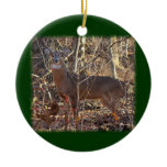Whitetail Deer Buck Ornament to Personalise