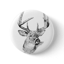 Whitetail Deer