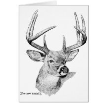 Whitetail Deer Cards