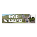 Whitetail Deer (Doe) Bumper Sticker bumper stickers
