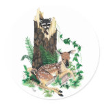 Whitetail Deer Fawn and Racoon Sticker