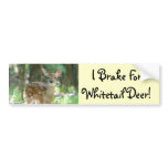 Whitetail Deer Fawn Bumper Sticker bumper stickers