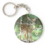 Whitetail Deer Fawn Keychain