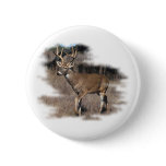 Whitetail deer in the field pin