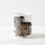 Whitetail deer in the field coffee mugs