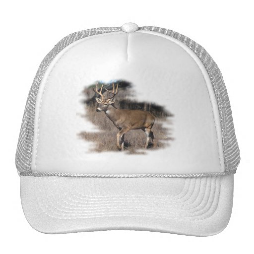 Whitetail deer in the field hats