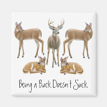 Whitetail Deer Magnet