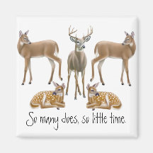 Whitetail Deer Magnet