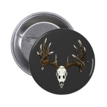 Whitetail deer skull 1 buttons