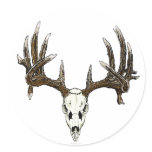 Whitetail deer skull stickers