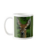 Whitetail Doe Mug