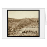 Whitewood Canyon & Wade & Jones RR SD 1890 cards