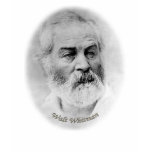 Whitman age 44 tee shirt