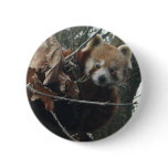 who are you buttons