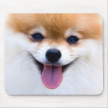 Who Could Resist a Face Like This? mousepads