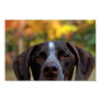 Who Dat Dog? Print