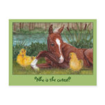 Who is the cutest? duck chick & foal postcard