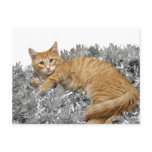 Who me? postcards