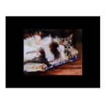 Who Needs Toys (cat) ACEO Art Trading Card Post Cards