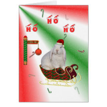 Who Says Im Not Santa  Christmas card
