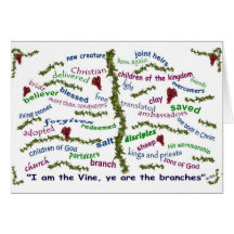 Who We Are in Christ Cards