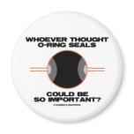 Whoever Thought O-Rings Could Be So Important? magnets
