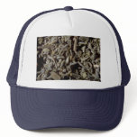 Whole sage trucker hat