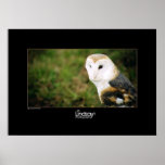 Whooie Posters