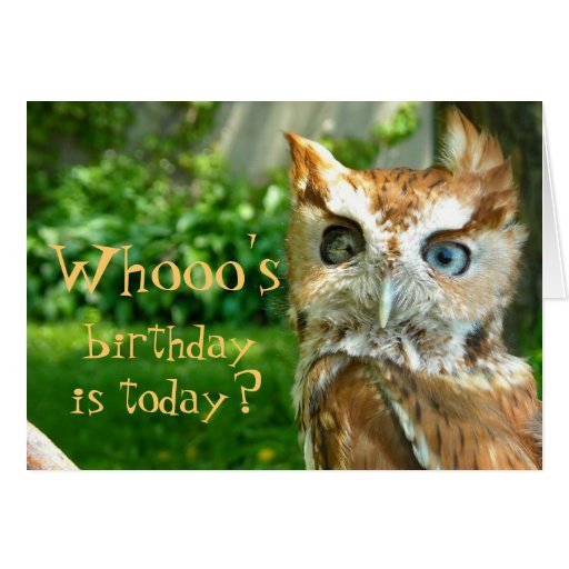 Whooo's Birthday Card
