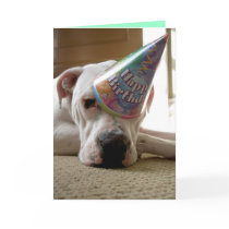 Whoop Dee Doo Card