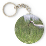 Whooping Crane Feeding a Chick Key Chain