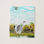 Whooping crane flyover puzzle