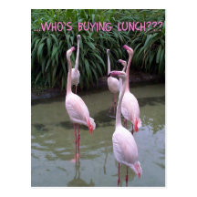 Who's buying lunch? postcards