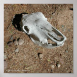 WHO'S SKULL IS THIS? PRINT