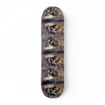 Who's Watching Wolf Eyes, skateboards