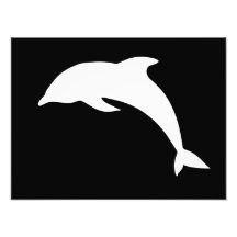 Whtie Dolphin Silhouette Photographic Print