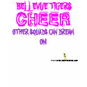 WHTNED, CHEER, BELLEVUE TIGERS, OTHER SQUADS CA... t-shirts